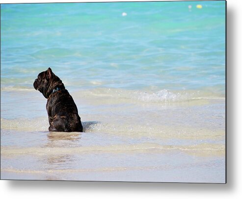 Lanikai Metal Print featuring the photograph Watching the waves by Amee Cave