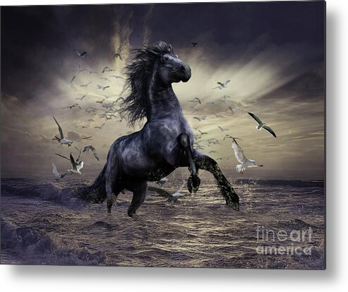 Water Horse Metal Print featuring the mixed media Racing before the Storm by Shanina Conway