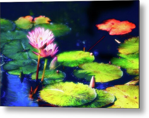 Water Lily Metal Print featuring the photograph Water Lilies by Harry Spitz