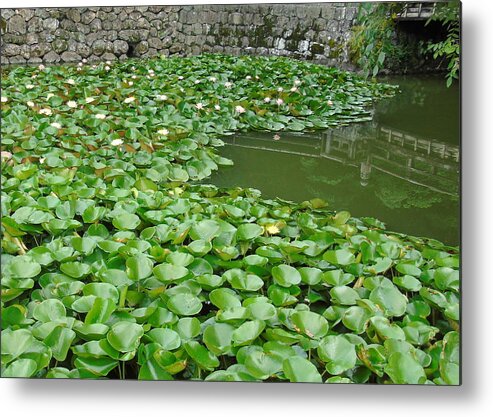 Sunpu Castle Park Metal Print featuring the photograph Water Lilies In The Moat by Susan Lafleur