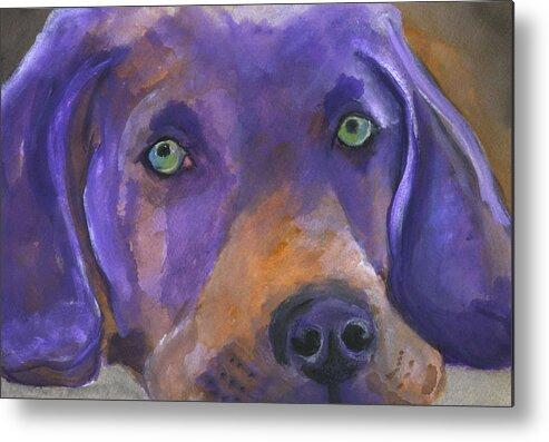 Dog Art Metal Print featuring the painting Weimaraner dog Art by Mary Jo Zorad