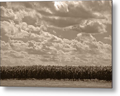 Corn Metal Print featuring the photograph Where the Foundation meets the Sky by Max Mullins