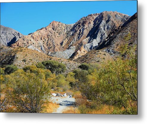 Whitewater Metal Print featuring the photograph Whitewater Reserve by Lisa Dunn
