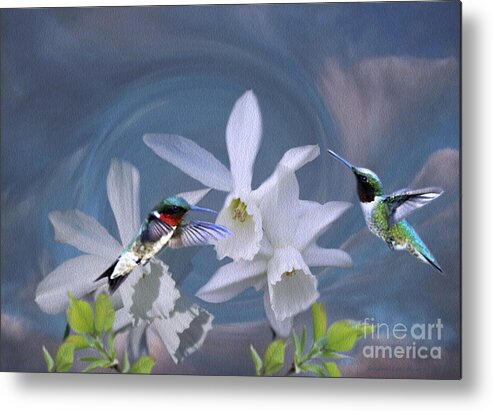 Ruby-throated Hummingbirds Metal Print featuring the photograph Whirlwind Hummers by Sandra Huston