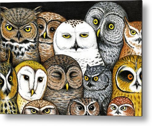 Art Metal Print featuring the painting Who's Hoo by Don McMahon