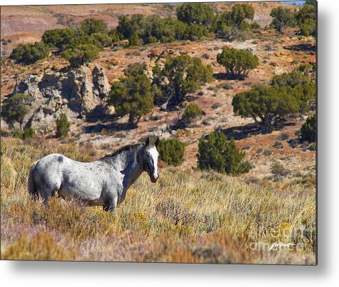 Wild Horse In Western Wyoming Metal Print featuring the photograph Wild Wyoming by Bon and Jim Fillpot