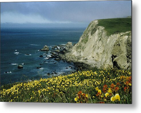 Wildflowers Ocean View Northern California Coast Metal Print featuring the photograph Wildflowers at Pt. Reyes by John Farley