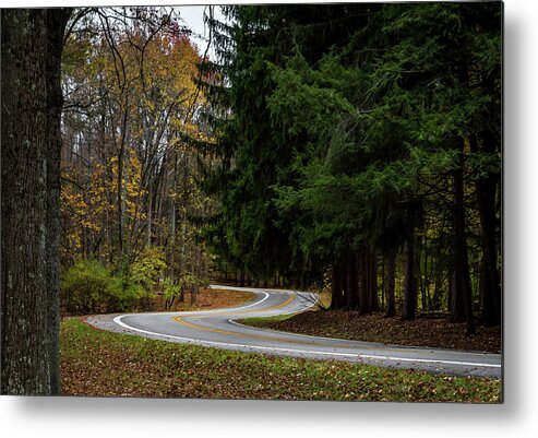 Curving Road Metal Print featuring the photograph Winding Road by Ron Pate