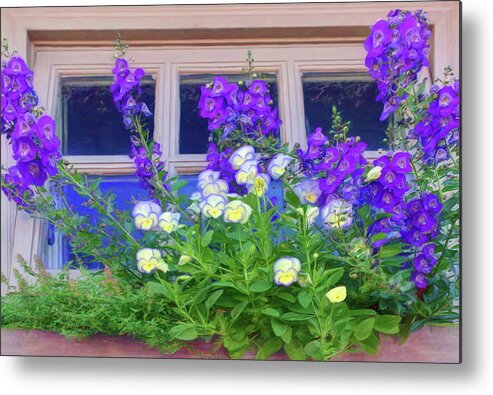 Windows Metal Print featuring the photograph Window Box with Pansies by Nikolyn McDonald
