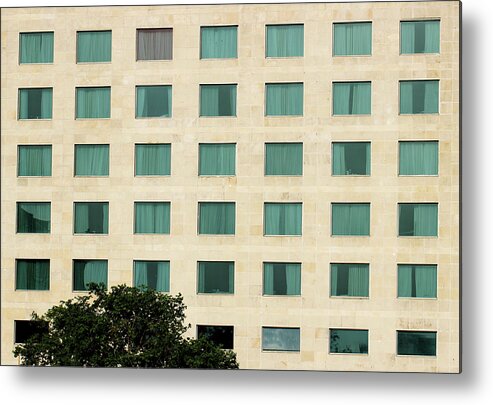 Minimal Metal Print featuring the photograph Windows and the Tree by Prakash Ghai