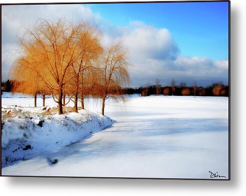 Snow Metal Print featuring the photograph Winter Beauty by Peggy Dietz