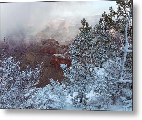 Landscape Metal Print featuring the photograph Winter In The Grand Canyon by Jonathan Nguyen