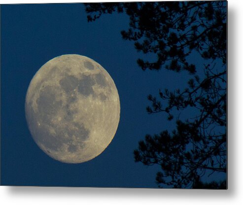 Moon Metal Print featuring the photograph Winter Moon by Randy Hall