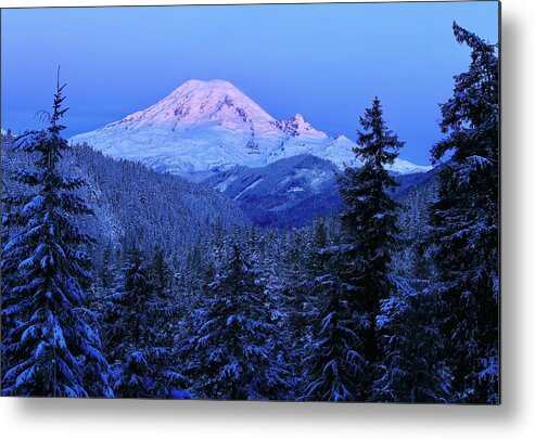 Winter Morning With Mount Rainier Metal Print featuring the photograph Winter morning with Mount Rainier by Lynn Hopwood