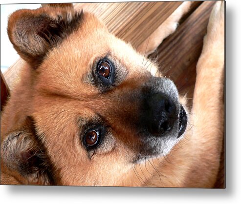 Woodrow Wooten Metal Print featuring the photograph Woodrow Wooten by Kathy K McClellan