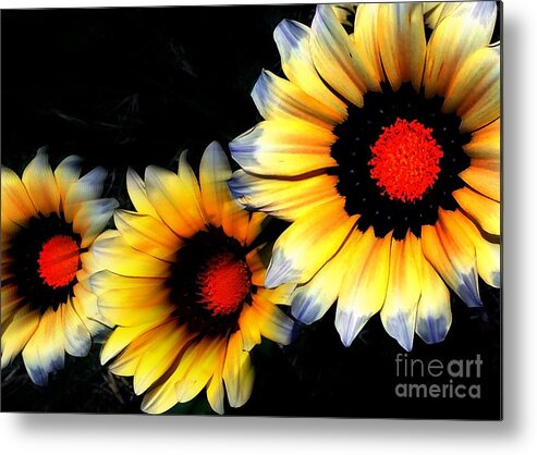 1000 Views Metal Print featuring the photograph Yard Flowers by Jenny Revitz Soper