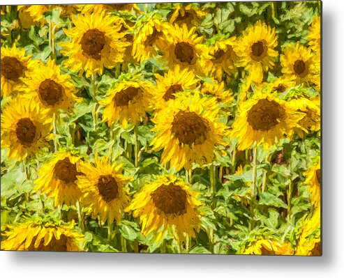 David Letts Metal Print featuring the painting Yellow Sunflowers by David Letts