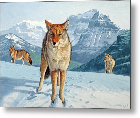 Coyote Metal Print featuring the painting Yellowstone Coyotes by Paul Krapf