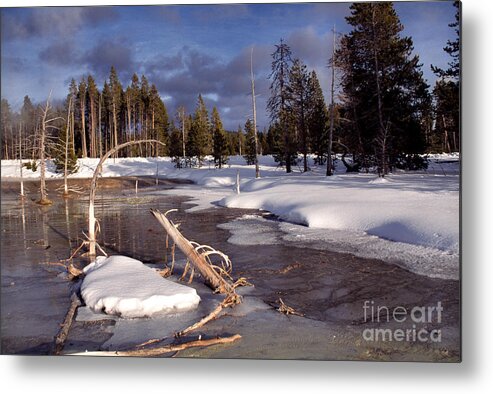 Usa Metal Print featuring the photograph Yellowstone National Park by Thomas R Fletcher