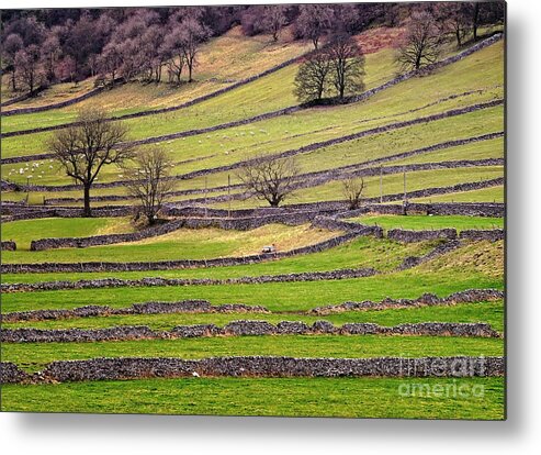 Yorkshire Dales Metal Print featuring the photograph Yorkshire Dales Stone Walls by Martyn Arnold