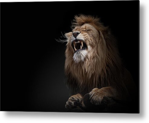 Lion Metal Print featuring the photograph ... Roar by Joerg Vollrath