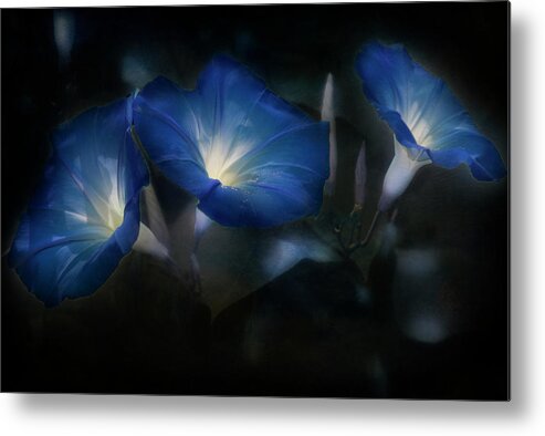 Blue Flowers Metal Print featuring the photograph Blue Eyes Blue #1 by Barbara Simmons