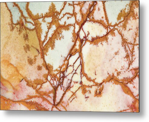 Abstract Metal Print featuring the photograph Dead Camel Jasper, Close #1 by Mark Windom