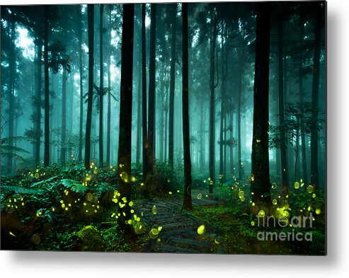 Through Metal Print featuring the photograph Firefly by Htu