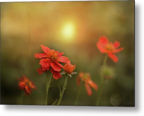  Metal Print featuring the photograph Geums sing morning #1 by Cybele Moon