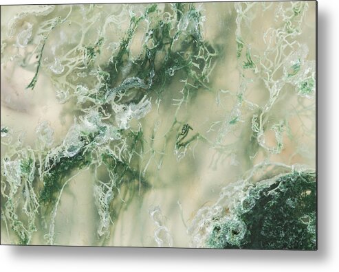 Abstract Metal Print featuring the photograph Moss Agate Moss, Closeup #1 by Mark Windom