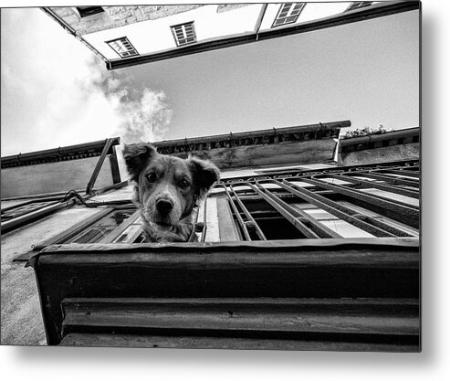 Street Metal Print featuring the photograph Untitled 1 by K|k - Carlos
