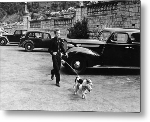 England Metal Print featuring the photograph Walking Dogs #1 by Bert Hardy