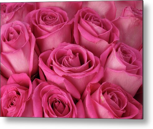 Large Group Of Objects Metal Print featuring the photograph A Close-up Of A Bouquet Of Flowers #2 by Nicholas Eveleigh
