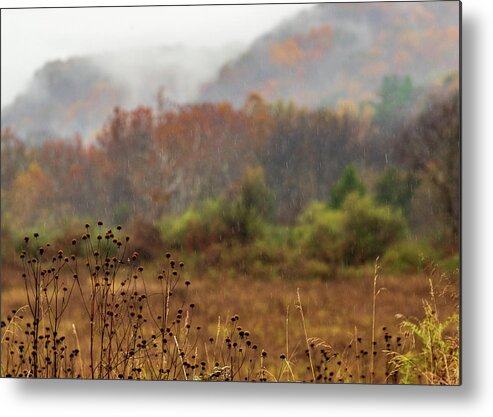 National Park Metal Print featuring the photograph Landscape Photography - Rural Scenes #1 by Amelia Pearn