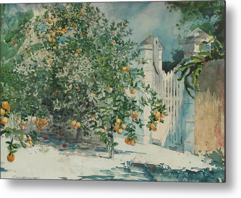 Impressionism Metal Print featuring the painting Orange Trees And Gate by Winslow Homer