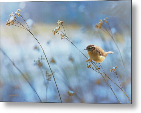 Ron Jones Metal Print featuring the photograph A Frequent Visitor by Ron Jones