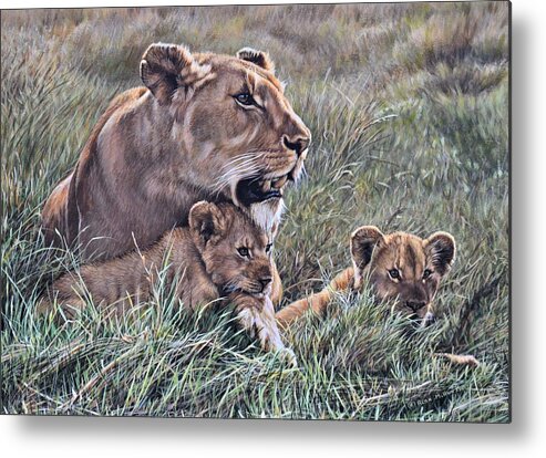 Paintings Metal Print featuring the painting A Quiet Moment Lioness and Lion Cubs by Alan M Hunt
