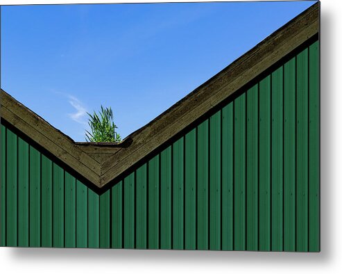 Architecture Metal Print featuring the photograph A Roof Garden by Inge Schuster