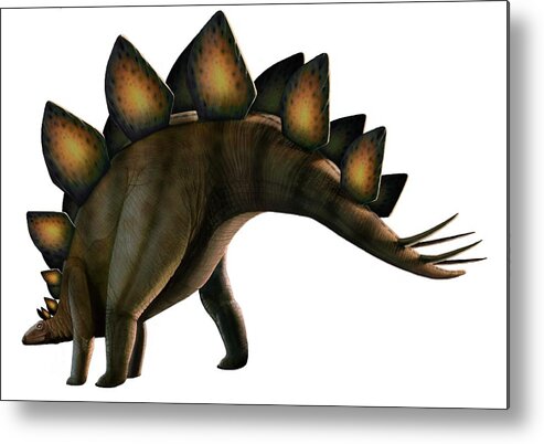 Jurassic Metal Print featuring the digital art Artwork Of A Stegosaurus Dinosaur by Mark Garlick