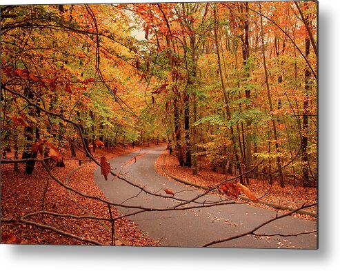 Autumn Metal Print featuring the photograph Autumn In Holmdel Park by Angie Tirado