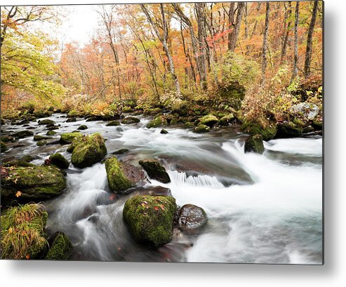 Scenics Metal Print featuring the photograph Autumn Mountain Stream by Ooyoo
