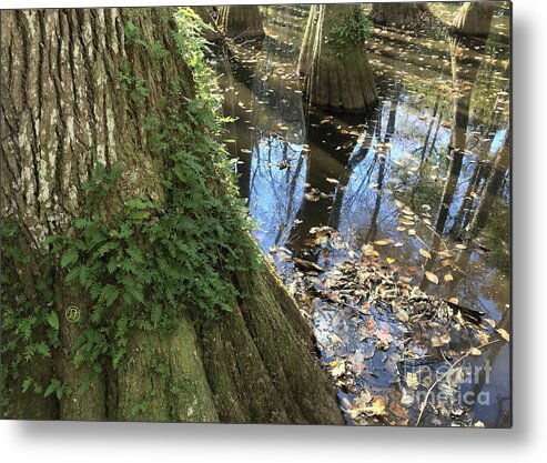 Bayou Metal Print featuring the photograph Bayou 1 by Dominique Fortier