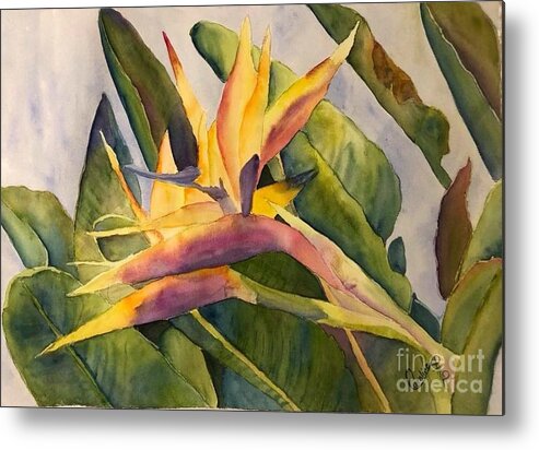 Watercolor Metal Print featuring the painting Birds in Paradise by Caroline Harris