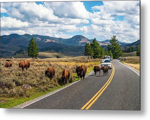 Estock Metal Print featuring the digital art Bison Grazing, Yellowstone Np, Wy by Towpix