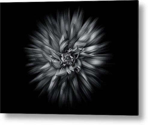 Abstract Metal Print featuring the photograph Black and White Flower Flow No 5 by Brian Carson