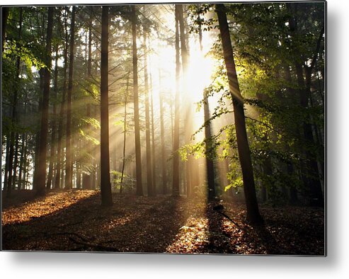 Tranquility Metal Print featuring the photograph Bright Light by Bob Van Den Berg Photography