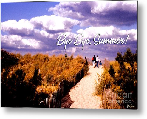  Metal Print featuring the photograph Bye Bye, Summer by Steve Ember