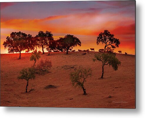 Cattle Metal Print featuring the photograph Cattle at dusk by Micah Offman