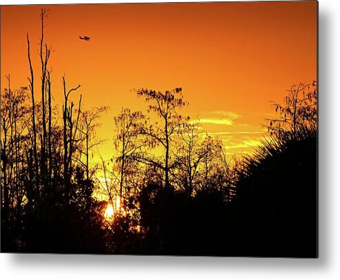 Airplane Metal Print featuring the photograph Cypress Swamp Sunset 3 by Steve DaPonte