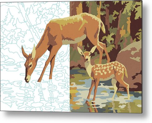 Animal Metal Print featuring the drawing Deer Drinking by CSA Images